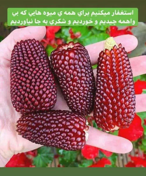 ما کرونا را شکست میدهیم