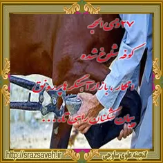 27 ذی الحجه