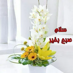 گوناگون ali999999 32707961