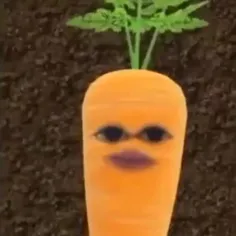 آیم هویج🥕 این چه سمی بود من دیدم 🤣