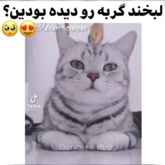 وای خدا چقدر کیوته