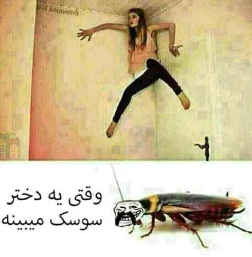 خخخخخخخخخخخ