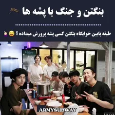 بنگتن جنگ یا پشه ها😂