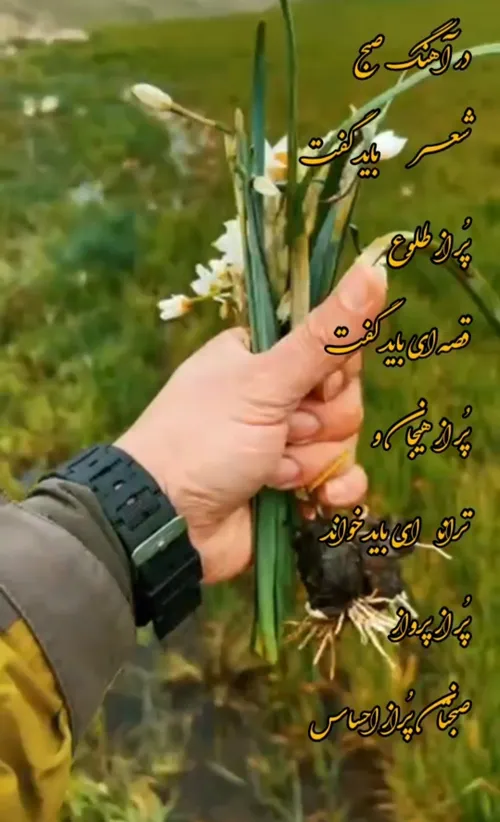 امروز 🍃🌼🍃