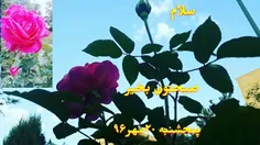 🍂 سلام به روز و روشنی