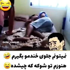 سگ مزاحم 🤣🤣🤣🤣🤣🤣