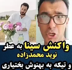 آقا عطر زنونه نوید محمدزاده چه بویی میده بنظرتون