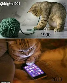 گربه های قدیم و جدید
