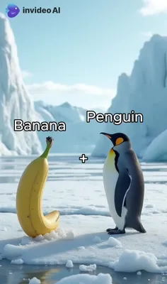 *پیج شگفت انگیز ویسگون*تشکرازلایک و حضورتون*