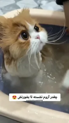 چشاشو ببین اخه🥹😍