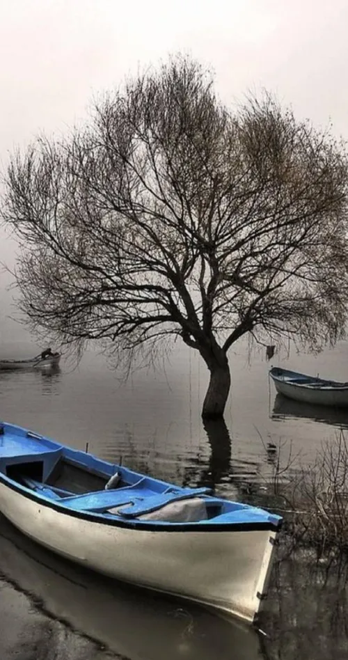 تصویر پس زمینه!