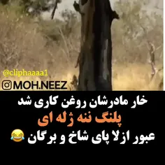 فففقط اونجاش که میگه ننه ژله ای