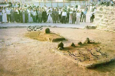 شاید حرف دل امام حسن علیه السلام این باشه :

