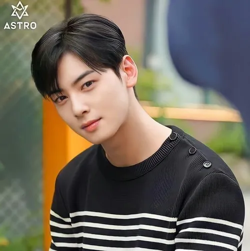 cha eun woo