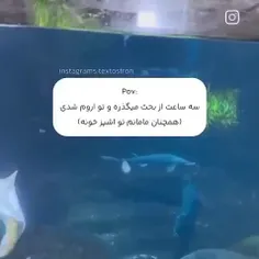 حققق نیست چیهههه