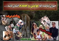 گوناگون rooo1 1775782