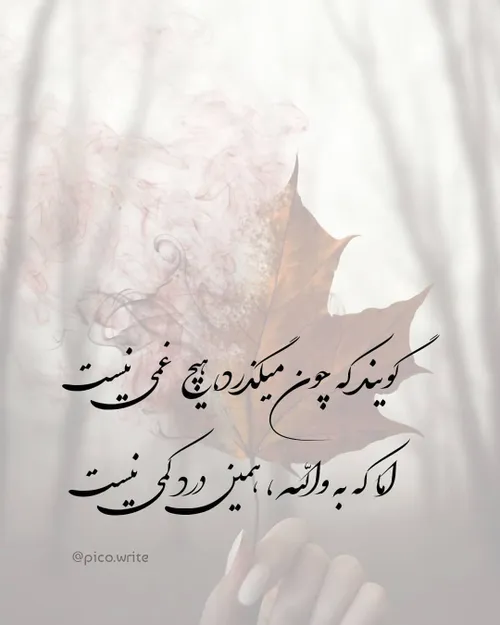 می گویند