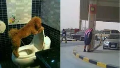 این دوتا کدومش کارش درسته