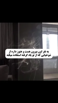 شاید..