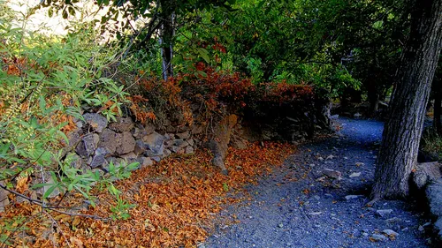 راه بین روستای ساروق (شملق) ۵۵ کیلومتری سبزوار