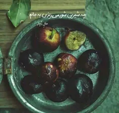 چه شیرین شور میریزی به جانم.