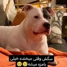 سکته کردم😐