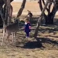 پس چرا آخرش اینجوری شد😳😐