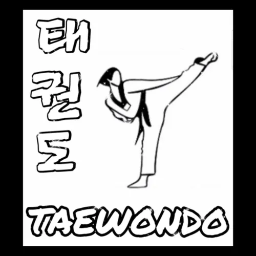 teakwondo 🔥🥋