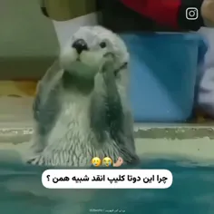 ذوببببب شدممم از شدت کیوتییییی😭🥺💞💙🤌💋❤️‍🩹