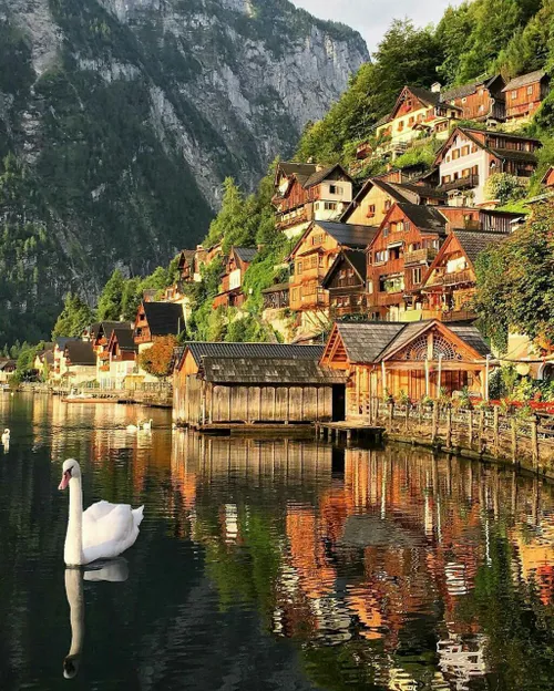 هالستات روستایی زیبا و کارت پستالی در اتریش که مشرف به آب