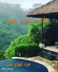 مرد تنهای شب @سلام صبح بخیر با آرزوی روزی خوش برای شما 