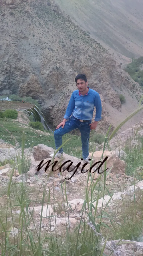 گوناگون majidzs 13709323 - عکس ویسگون