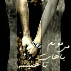 رازدل