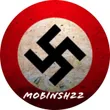 mobinsh_22