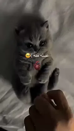 گودوووو😭😢🤕