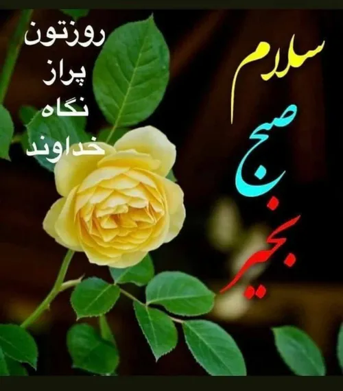 گوناگون mahdireza179 33368645 - عکس ویسگون