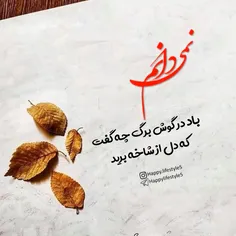 نمی دانم باد در گوش برگ چه گفت که دل از شاخه برید