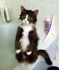 اخه منکه گفتم از حمام خوشم نمیاد اخه.