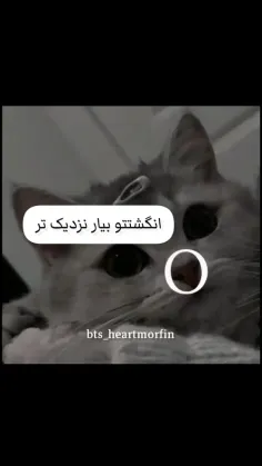 یه تالالا معذرت🤣🙏