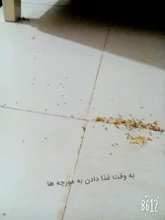 موری های خونه ی ما😂😂