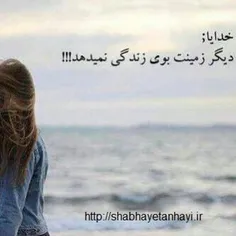 گوناگون fatememousavi 10619569