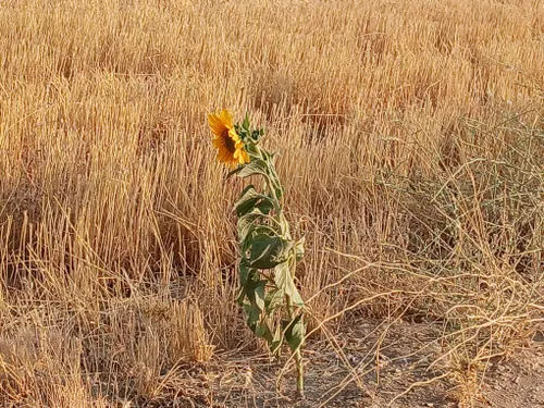 زندگی جریان دارد