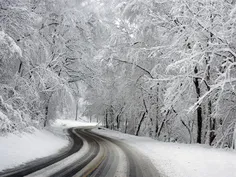 جاده برفی،،جنگل سفید پوش