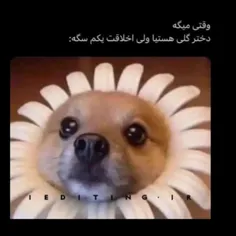 هعی😂چقدر حق بزارم دیگه