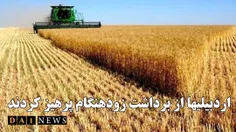 علی نوبخت خبر داد: کشاورزان اردبیل از برداشت زودهنگام محص