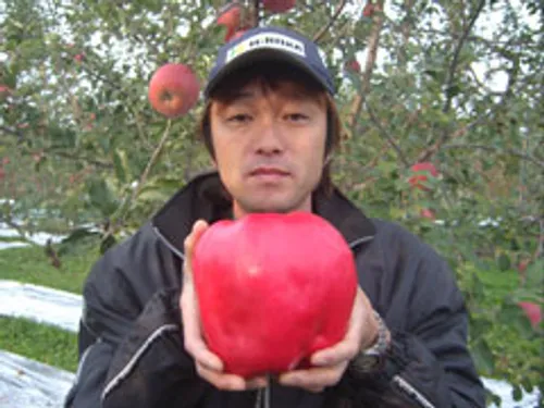 بزرگترین سیب قرمز دنیا*