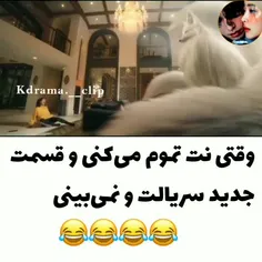 هم اتاقی من یک روباه نه دمه