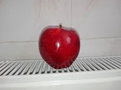 نوش جونم سیب 😸 😸 😸 😸 😸