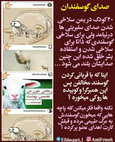 صدای #گوسفندان!