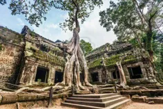 #‌معبدی_قدیمی در کامبوج که بوسیله ی ریشه های درخت انجیر م